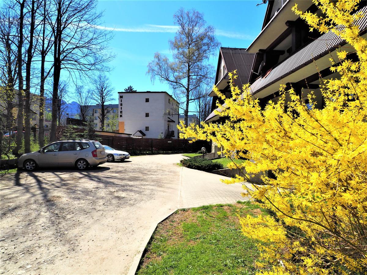 Vip Apartamenty Centrum Przy Rowni 扎科帕内 外观 照片